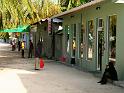 Rashdoo (49)